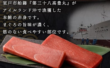 天然本マグロ 赤身柵 約1kg 【マグロマグロマグロマグロマグロ】