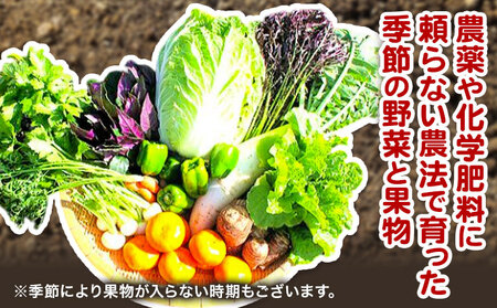 野菜 果物 詰め合わせ 自然栽培 福田果樹園 旬 セット 天草 苓北 熊本 送料無料《90日以内に出荷予定(土日祝除く)》熊本県 苓北町