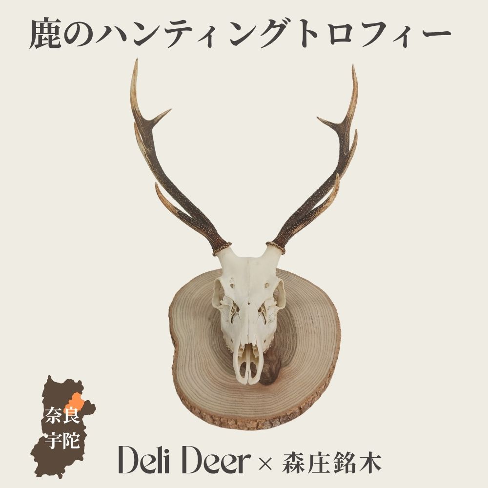 【ふるさと納税】鹿のハンティングトロフィー ／ あいむふぁっと 銘木×天然素材 インテリア 壁掛け オブジェ 一点物 天然素材 銘木 木製 高級 アート ナチュラル 奈良県 宇陀市