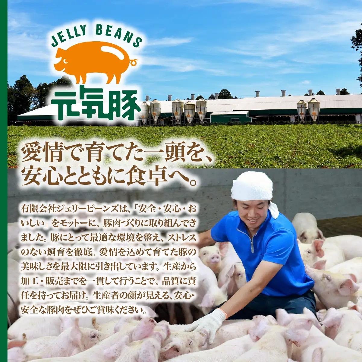 元気豚　大粒肉焼売　4パックセット_焼売 シューマイ 大粒_【配送不可地域：離島・沖縄県】TAKB050