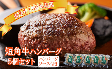 短角牛100％使用！ ハンバーグ 5個 ハンバーグ 国産ハンバーグ 惣菜 温めるだけ 冷凍 ソース付き はんばーぐ もりおか短角牛 ブランド牛 ハンバーグ はんばーぐ 小分け 個包装 冷凍 hamburg 岩手県 盛岡市 パイオニアファーム 有限会社トゥレイス