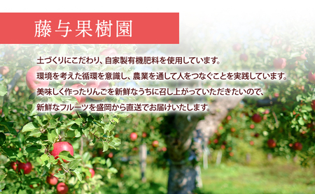 【11月から発送】 りんご 盛岡から「農で人をつなぐ」藤与果樹園： サンふじ 約3kg 6～11玉 玉数指定不可 詰め合わせ 岩手 盛岡