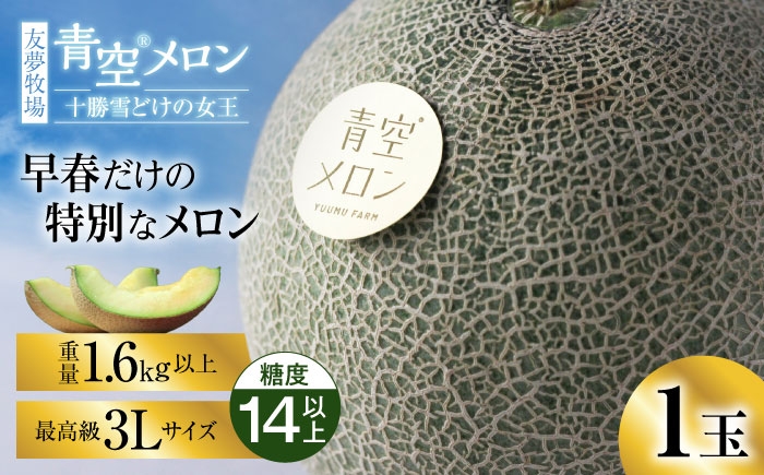 
                  【5月～発送】＼最高級／青空メロン 十勝雪どけの女王 1玉（3L 糖度14以上） | 友夢牧場 [BNBM001] メロン めろん meron 青肉メロン 青肉 北海道メロン 高級メロン 高級 大玉メロン 大玉 産地直送 フルーツ 果物 旬のフルーツ 甘い ジューシー ブランド 贈答 ギフト プレゼント 新得町 北海道
                