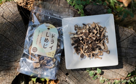 手軽に美味しく！  ＼ ドライぶなしめじ ／ 20g　3袋 （Bz-002）｜長野県 飯山市 信州産 きのこ キノコ 無添加 時短 保存食 ダイエット だし 出汁 国産 乾燥