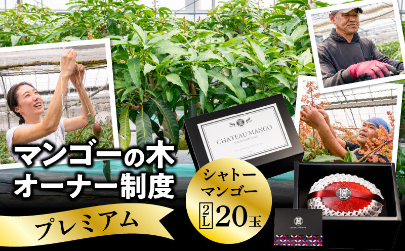 
                  シャトーマンゴー／マンゴーの木オーナー制度【プレミアム】_M263-005
                