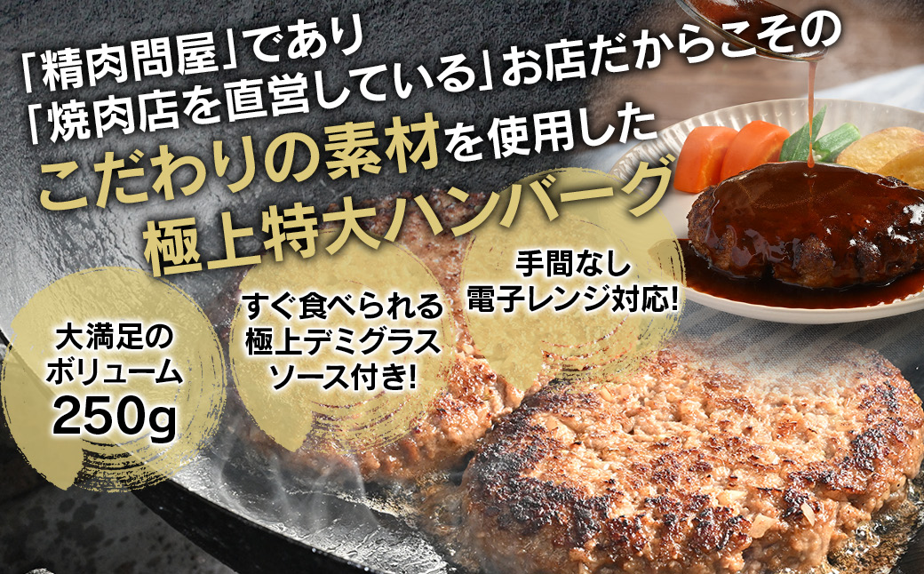 【250ｇ×10個】精肉卸問屋が自信をもってお届けする特大ハンバーグ（デミグラスソース）・T098