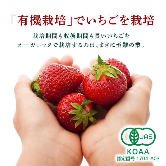 【3回定期便】高級 いちご 100％ワイン Giftfromthe Earth -大地からの贈り物- オーガニック【伊藤農園】 いちご 苺 熊本県 特産品 有機 お酒 オーガニックワイン [ZBB01