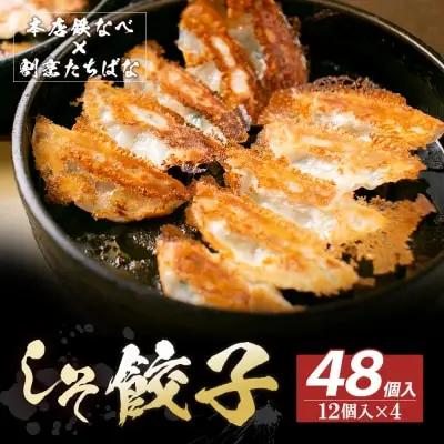 Z02-13 寄附額改定↓↓ 本店鉄なべ×割烹たちばな しそ餃子48個  餃子