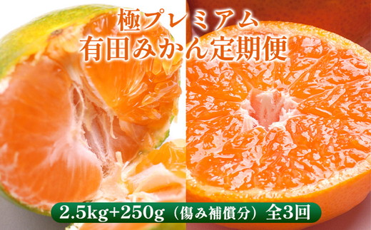 〈定期便〉【10・11・12月 全3回】極プレミアム 有田みかん定期便 2.5kg+250g （傷み補償分） ※北海道・沖縄・離島への配送不可