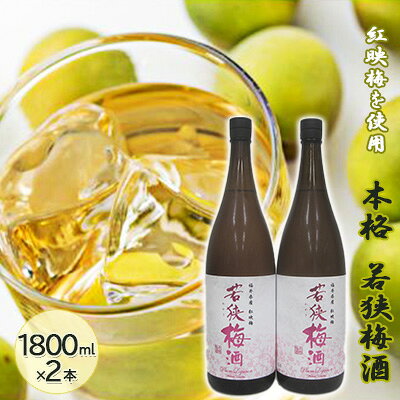 【ふるさと納税】リキュール 福井県産 1800ml 2本セット 紅映梅を使用した本格梅酒 若狭梅酒 お酒 洋酒 リキュール類 希少な品種 べにさし梅 ロック ストレート アルコール度数12 福井県若狭町