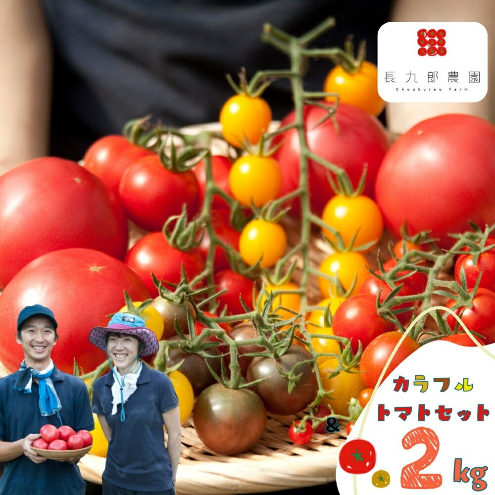 【ふるさと納税】先行予約《夏季限定》2026年分 雪解け水で育ったカラフルな濃厚トマト2kgセット（大玉・ミニトマト）産地直送 野菜 トマト プチ 2キロ とまと 朝採れ 美味しい 新鮮 いろいろ セット 飛騨市 [A0018_26] 12000円