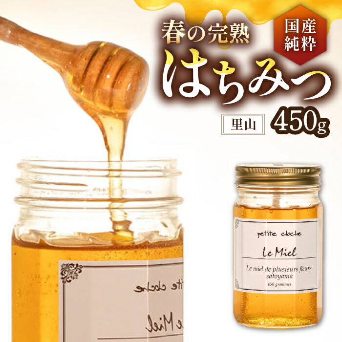 【ふるさと納税】春の完熟 はちみつ 里山 450g《豊前市》【須田養蜂場】[VAR005] 蜂蜜 ハチミツ 蜜 国産 非加熱 純粋 瓶詰め 天然 ギフト 13000 13000円
