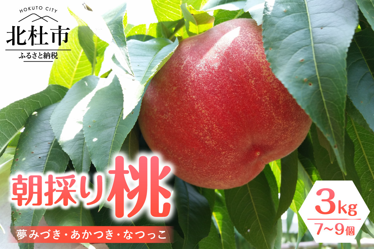
                  【2026年度先行予約】朝採り桃 3kg（夢みづき・あかつき・なつっこ）7～9個　山梨県産 桃 朝採り ミックス オリジナル 品種 堅い桃 北杜市 八ヶ岳
                