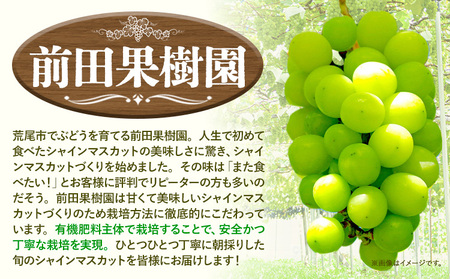【先行予約】 シャインマスカット 約4kg（5～8房） 《8月下旬-9月末頃出荷》大容量 シャインマスカット フルーツ シャインマスカット 期間限定 シャインマスカット 前田果樹園