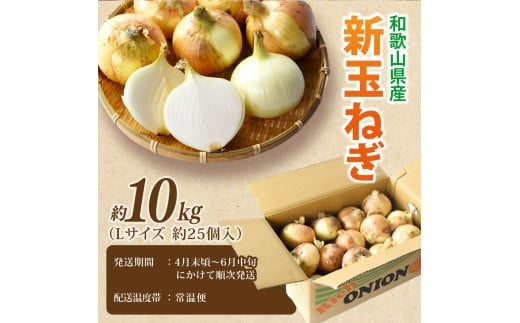 和歌山県産新玉ねぎ約10kg　Lサイズ 約25個入り　こだわり農家厳選！【2026年4月末頃～6月中旬に発送予定】人気 おすすめ たまねぎ 玉ねぎ 玉葱 タマネギ オニオン スープ サラダ 国産 野菜