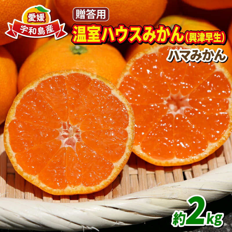 【ふるさと納税】 温室みかん 興津 早生 贈答用 2kg 7月から発送 先行予約 ハマみかん S~Mサイズ 温州みかん みかん 興津 早生温州 ハウス栽培 ハウスみかん ハウス蜜柑 果物 フルーツ 柑橘 愛媛蜜柑 愛媛みかん 農家直送 産地直送 数量限定 国産 愛媛 宇和島 B024-075008