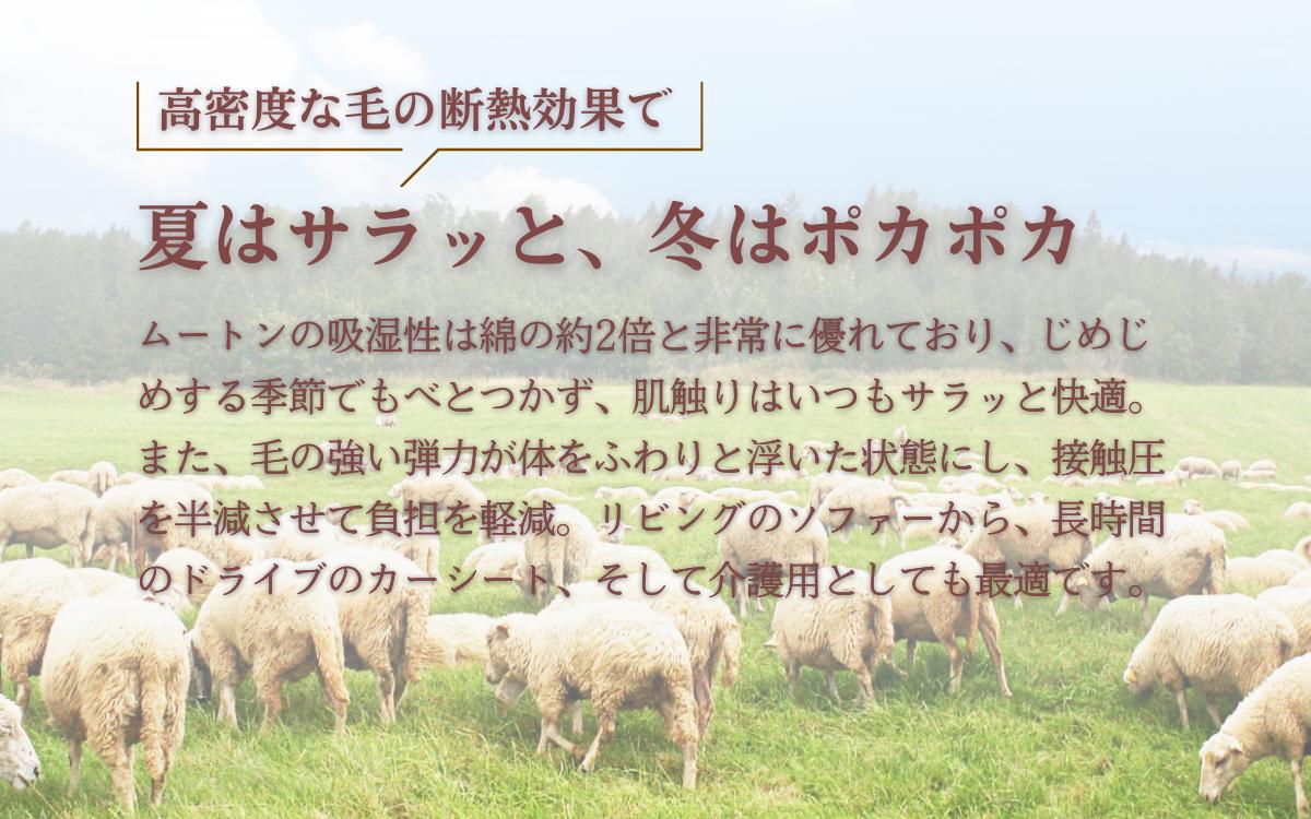 ひつじき（ムートン靴中敷）2足セット