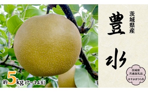 豊水 約 5kg 7玉～14玉 (茨城県共通返礼品 かすみがうら市) 産地直送 久保田果樹園 フルーツ 甘い 直送 茨城 [DH002sa]