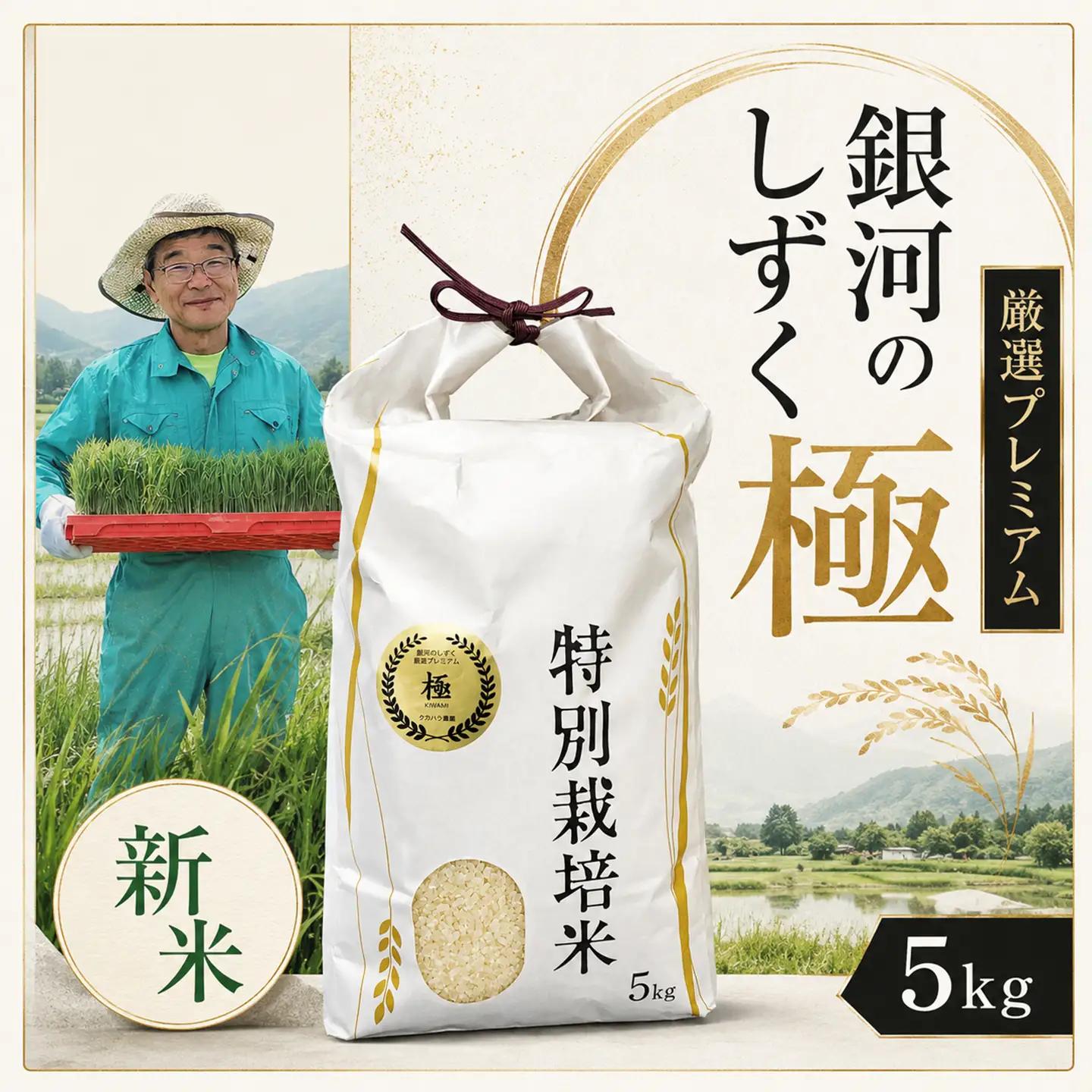 【厳選プレミアム極】新米 白米 銀河のしずく米 5kg【2228】