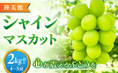 【鐘美館】標高750mで育ったシャインマスカット2キロ以上（4～5房） ※2025年9月中旬以降順次発送 シャインマスカットシャインマスカットシャインマスカットシャインマスカットシャインマスカット