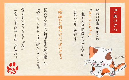 【感謝の気持ちでいっぱいです】ご挨拶にぴったり　柿の種＆ドットチョコ15パック 創信産業【0025-0003-01】