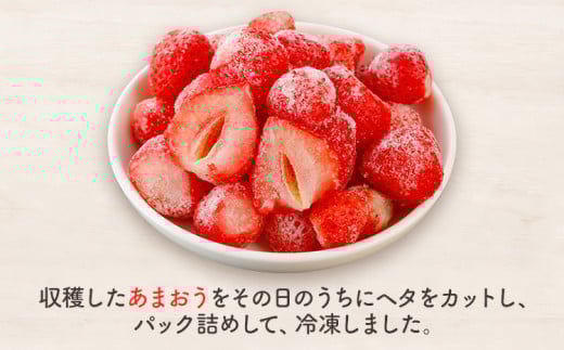 冷凍あまおう スムージー専用150g×８パック CD22