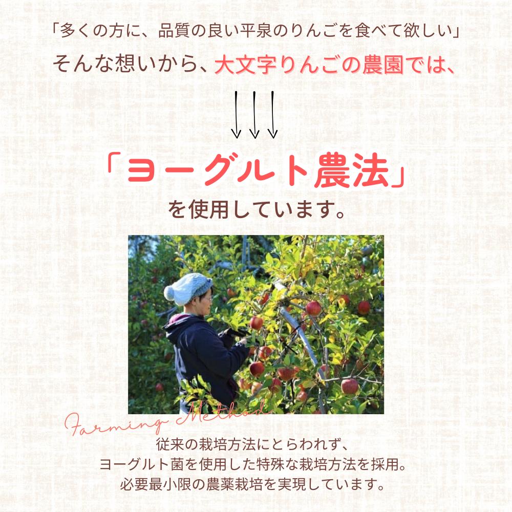 黄金（りんご）ジュース 1,000ml×3本 〈平泉町産 完熟りんご 100％使用〉/ りんご リンゴ りんごジュース リンゴジュース 林檎 果物 くだもの フルーツ 甘い 飲料 果汁飲料 大文字りん