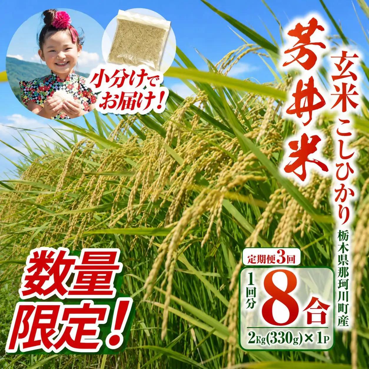 【数量限定】【定期3回】【令和8年度産】那珂川町産芳井米 コシヒカリ 玄米 330g（2合分）×4 | 栃木県 那珂川町 送料無料