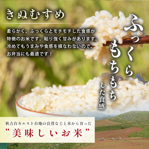 令和7年度産 きぬむすめ 玄米 5kg＜ 2026年1月～より順次発送予定 ＞ 