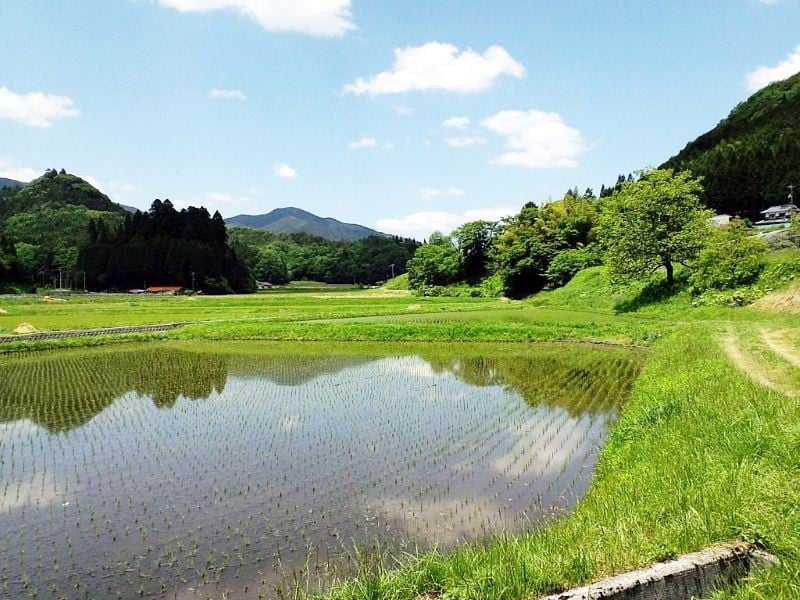 高梁川源流から2kmの、生活用水の混ざらない水源の清らかな水で育てています。