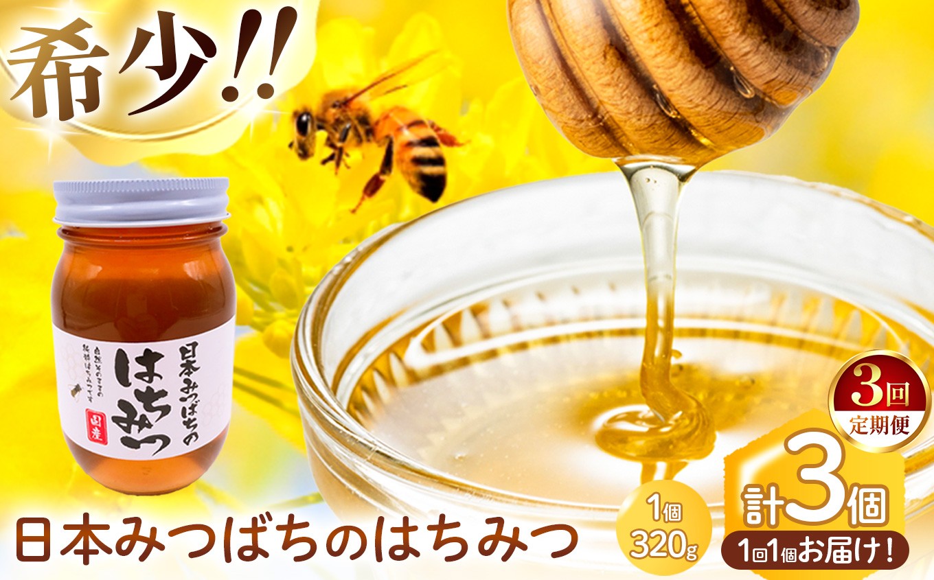 
            【 定期便 3回 】和水町産 日本蜜蜂のはちみつ｢希少品｣ 320g | 熊本県 熊本 くまもと 和水町 なごみまち なごみ ハチミツ ハチミツ 蜂蜜 日本蜜蜂 国産 320g 瓶
          