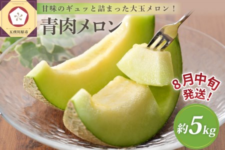 【2026年8月中旬発送】津軽産 青肉 メロン 約5kg ( 3~6玉 ) ご家庭用 品種おまかせ 【青森メロン】