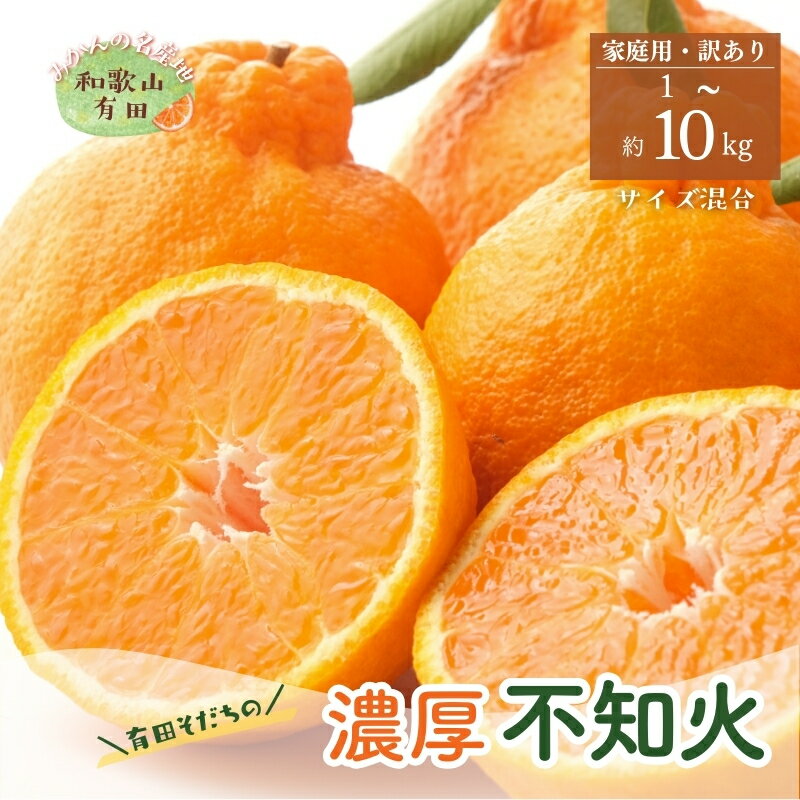 【ふるさと納税】有田育ちの不知火(ご家庭用)(通称デコポン) 約1kg 約2.5kg 約5kg 約7.5kg 約10kg ※2026年1月下旬〜3月下旬順次発送予定