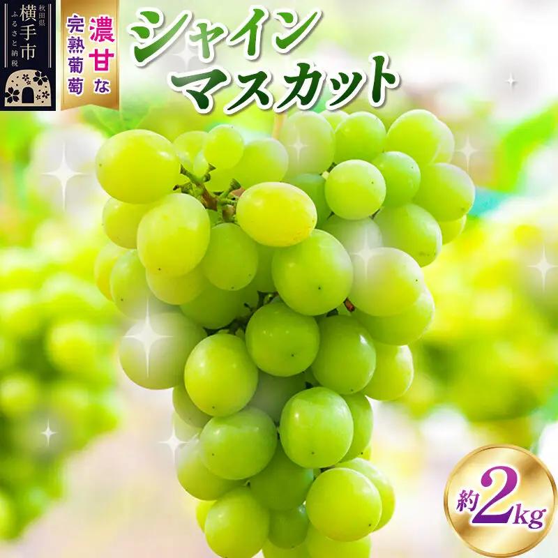 横手市大沢地区産のぶどう（シャインマスカット）約2kg 濃甘な完熟葡萄