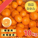 【ふるさと納税】 【先行予約】宮川早生みかん 贈答用 秀品 10kg（2S～2L）【2024年11月下旬から12月中旬までに順次発送】 / みかん 蜜柑 柑橘 果物 フルーツ 早生 秀品 贈答