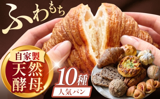 RENZO 人気パン10種セット / 天然酵母パン パン パンセット セット 冷凍 食事パン 惣菜パン ハード系 ハードパン 菓子パン 詰め合わせ パン ハードパン 冷凍パン ぱん 詰め合わせ セット パン詰め合わせ パン詰合せ パンセット 人気 おまかせ パンセット / 蓮三 [AHEN002]