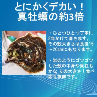 (1007)牡蠣 カキ 岩ガキ 岩がき 岩牡蠣 岩カキ 海のミルク 濃厚 クリーミー 夏バテ防止 3kg 焼き 蒸し 加熱