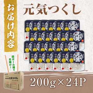 福岡県産米 元気つくし パックご飯 (計24P)お米 おこめ 米 こめ コメ 白米 福岡県産 ブランド米 パック 災害 備蓄 小分け 酸味料無添加 常温 常温保存 【ksg1748】【農産物直売所ほた