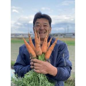 【毎月定期便】季節のおまかせ野菜セット 4～8種詰め合わせ 計2kg～3kg全4回【4069423】