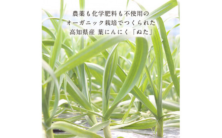 緊急支援 人気海鮮 芸西村厳選1本釣り本わら焼き「芸西村本気の極カツオのたたき（6～7人前）有名番組で紹介の有機無添加土佐にんにくぬた・タレ付き」高知県共通返礼品 かつお タタキ 海鮮 藁焼き 鰹 塩