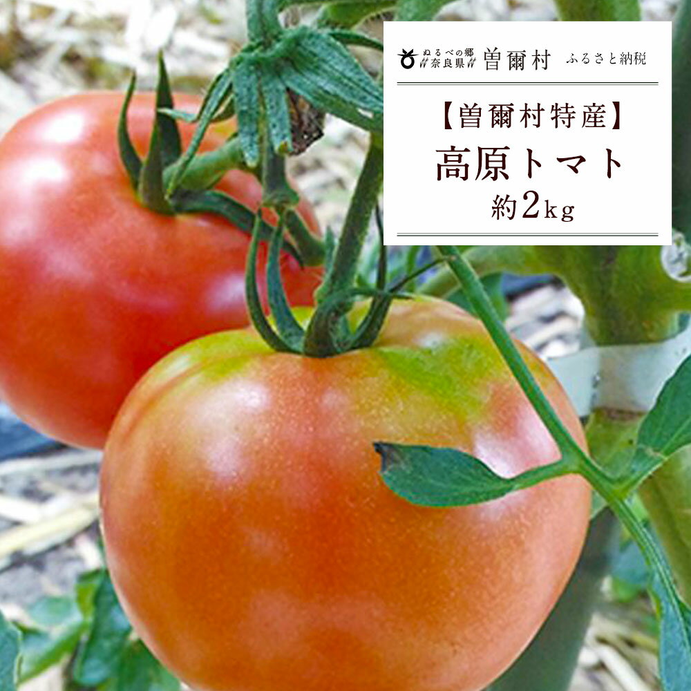 【ふるさと納税】　曽爾村特産高原トマト約2kg※電話での調整後順次発送【注意書きを必ずお読みください】　※北海道・沖縄県は発送不可 お取り寄せグルメ お取り寄せ グルメ 食品 お歳暮 御歳暮