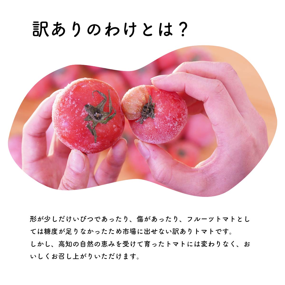 【訳あり】冷凍トマト・お試し30個／約1.5kg 冷凍で皮むき簡単。保存がきく！_イメージ3
