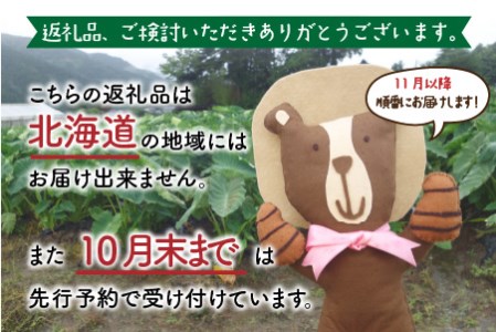 【先行予約】【年内お届け】上庄里芋「麻奈姫」2kg「農家直送」【11月初旬～順次発送】