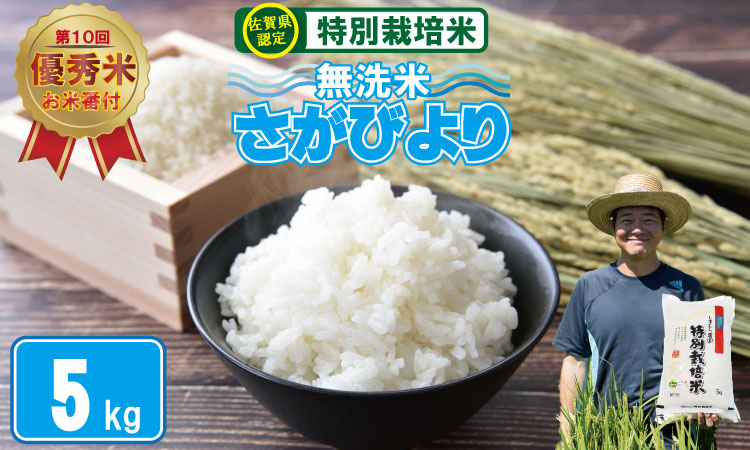 令和6年度産  2023お米番付「優秀賞」！佐賀県認定 特別栽培米 「農薬：栽培期間中不使用」 無洗米 さがびより （ 5kg ）しもむら農園