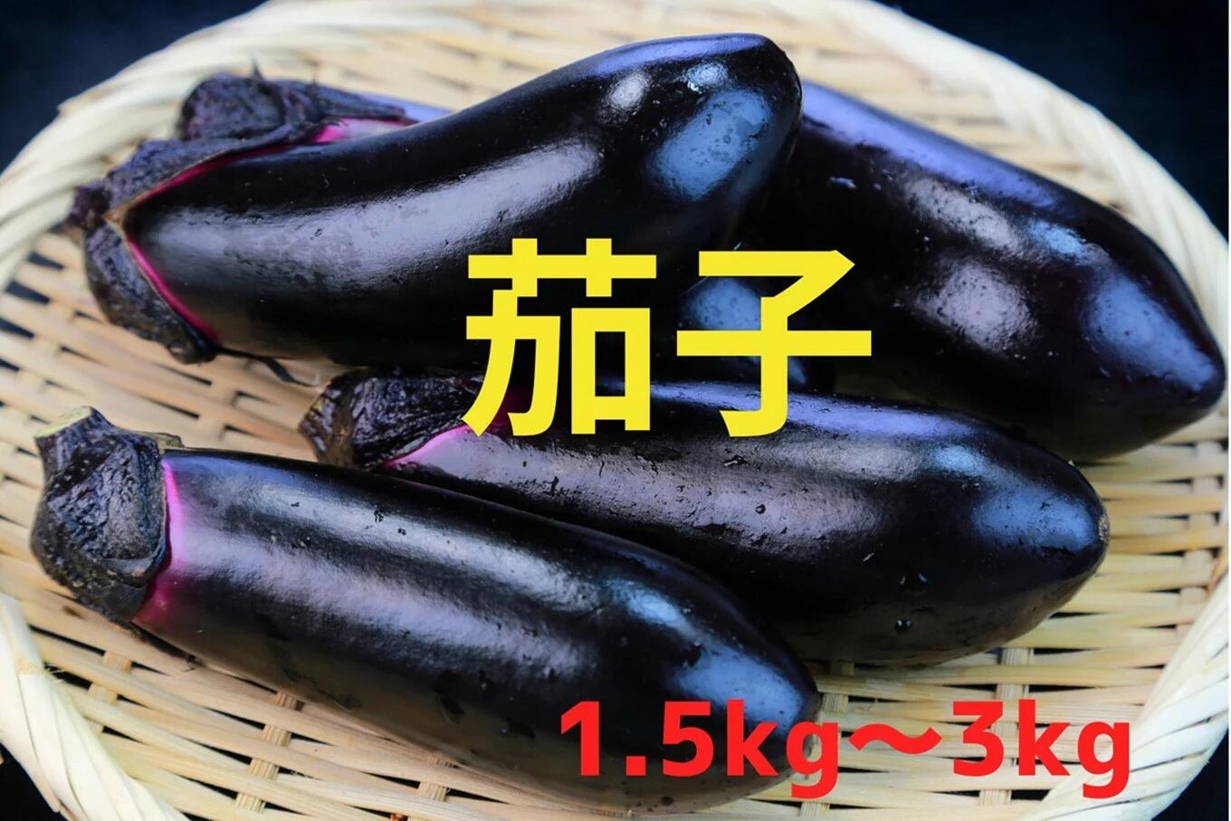 【ふるさと納税】獲れたて 新鮮 茄子 内容量が選べる 1.5kg / 3kg 品種：黒福 [ なす ナス 野菜 夏野菜 ベジタブル 旬 人気 おすすめ 料理 野菜炒め 常温 バーベキュー アウトドア キャンプ 産地直送 国産 岩手県 陸前高田市 軍見洞農園 ]
