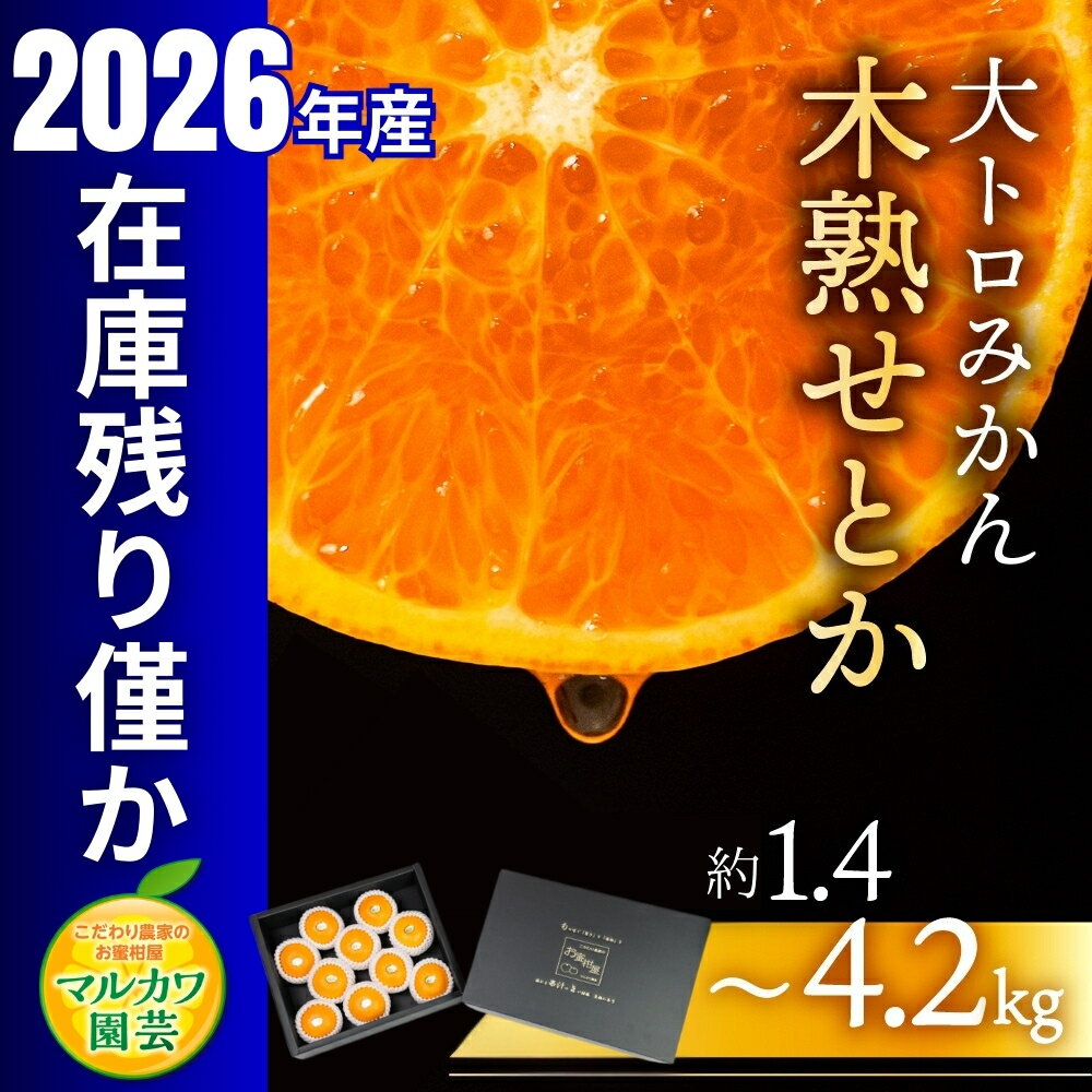 【ふるさと納税】≪すぐにお届け≫ 木熟せとか 大トロ みかん フルーツ 選べる 1.4kg~4.2kg 秀品 せとか マルカワ園芸 みかん mikan ミカン 蜜柑 柑橘 柑橘類 贈答 プレゼント 旬 果物 高糖度 スイーツ ギフト プレミアム 1kg 3kg 4kg 糖度 先行予約 新着 愛知県 豊橋市