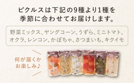 ［おばあちゃんのふるさと小包] 手作り味噌・季節のピクルス・お米のセット【ありのまま春日】[NCK001] 味噌 みそ ピクルス 漬物 漬け物 つけもの 浅漬け 米 お米