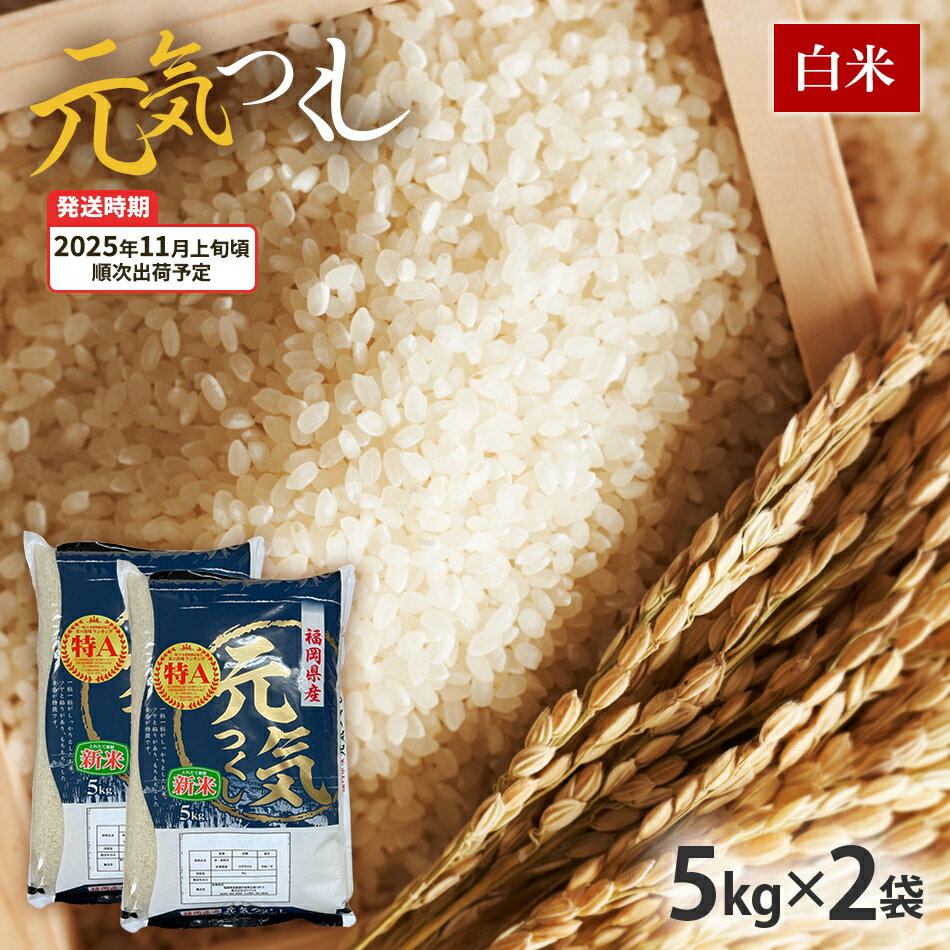 【ふるさと納税】元気つくし 令和7年産　【11月上旬頃より順次出荷予定】福岡県産ブランド米「元気つくし」白米10kg お取り寄せグルメ お取り寄せ 福岡 お土産 九州 福岡土産 取り寄せ グルメ 福岡県