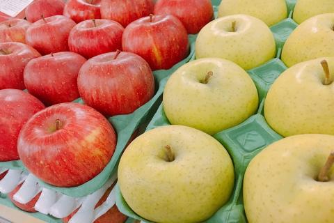 【ANA限定】【2026年1月中旬発送】 りんご 5kg 紅白の 大玉特選 詰め合わせ 青森