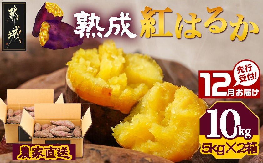 先行受付!【12月お届け】【農家直送】山下農園　熟成紅はるか 10kg_AA-I705-12
